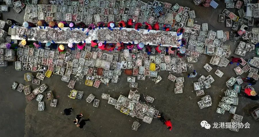 章圣放 摄 《渔业致富奔小康》