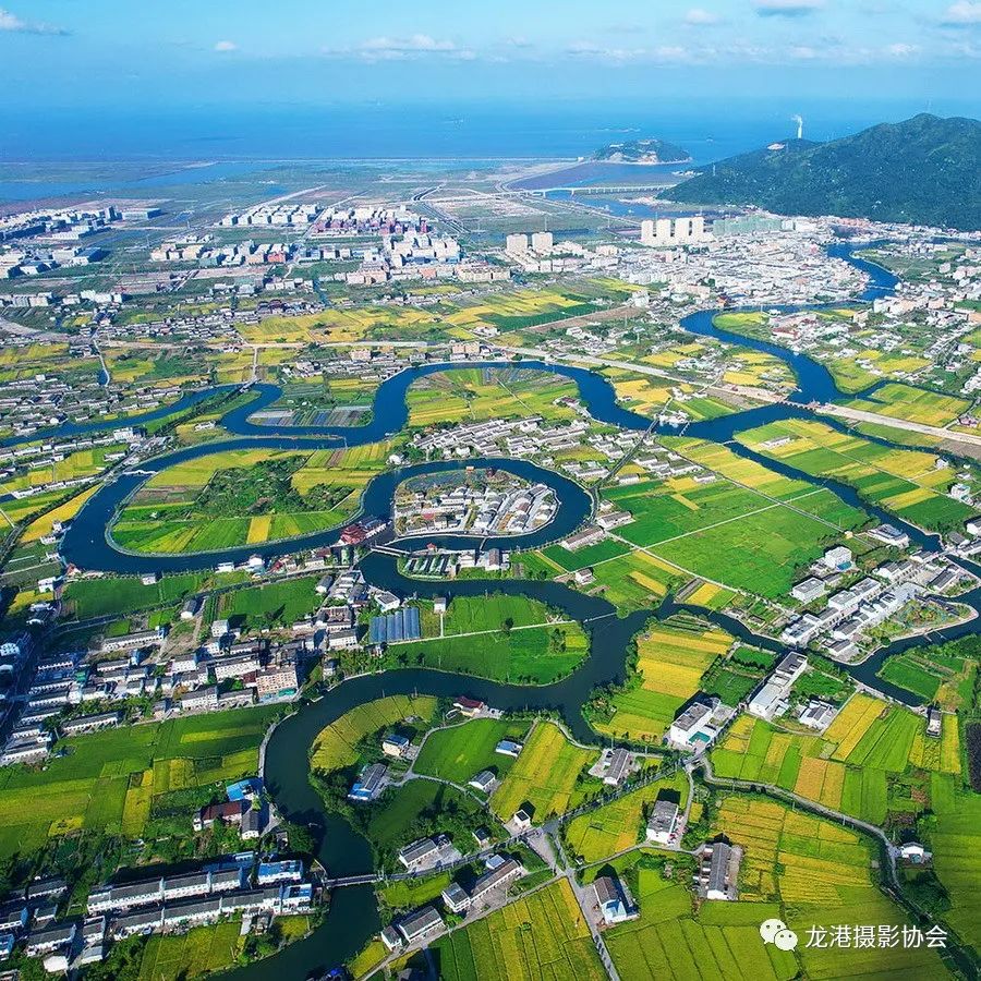 杨德玮 摄 《鱼米之乡》