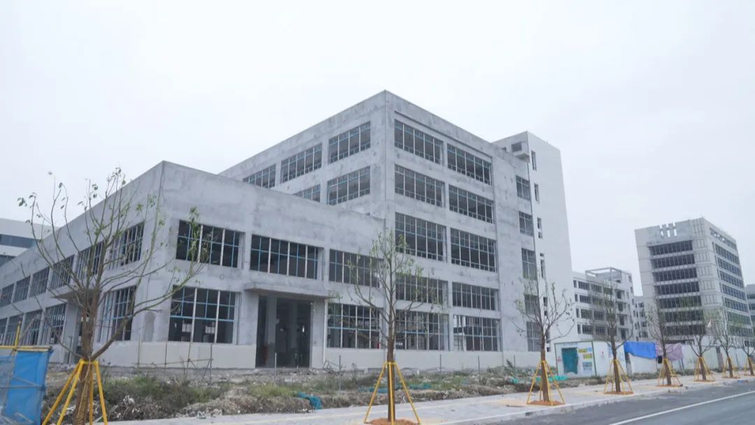 温州高新区龙港分园产业协同创新中心项目