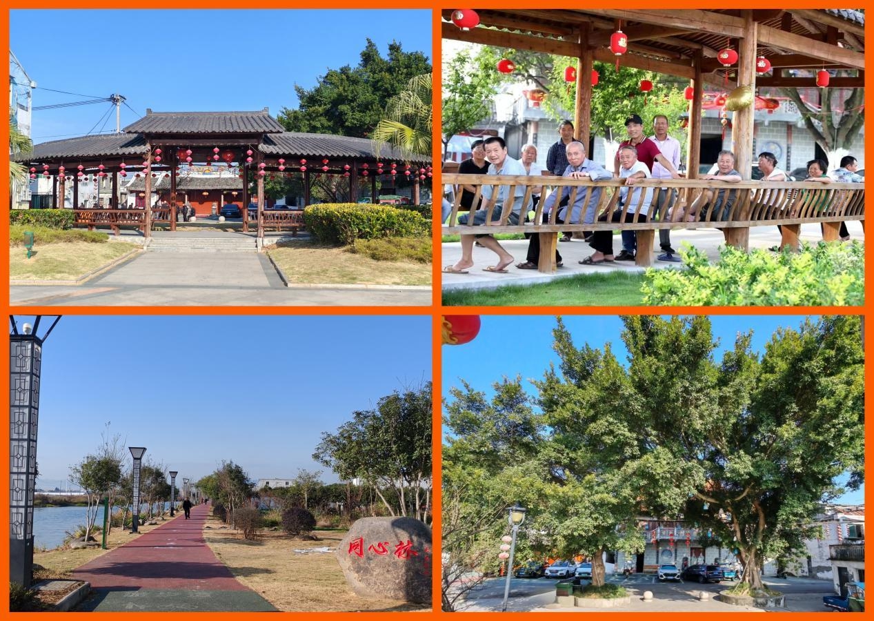 方良社区休闲廊亭、步道、五显殿前榕树方建永摄