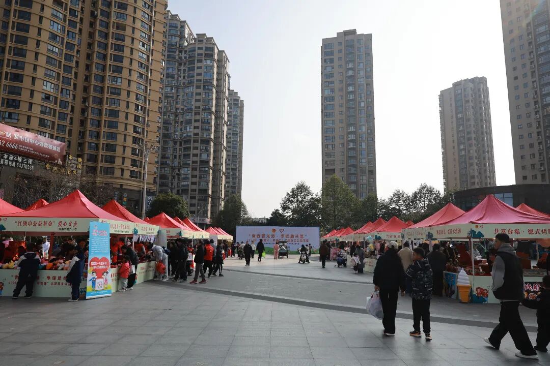 青春新龙港 争锋助共富 龙港举办“浙青年·学雷锋”志愿服务公益市集