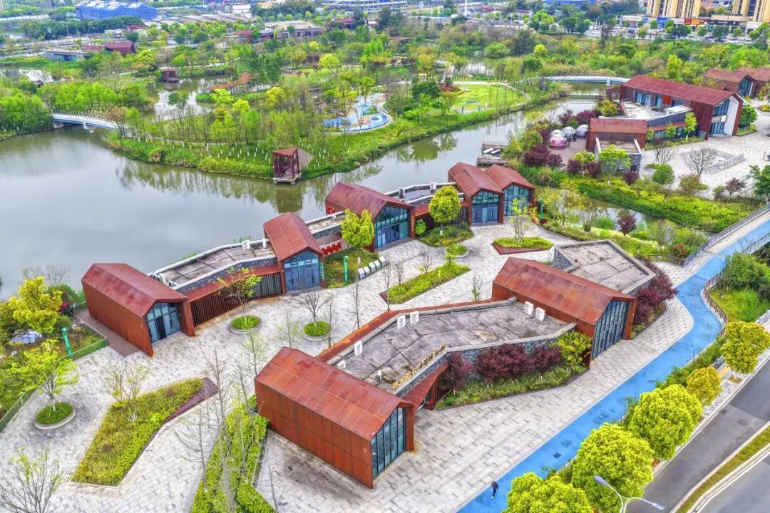 城市湿地公园。苏巧将 摄