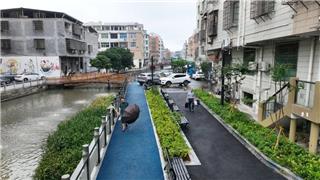 告别积水与坑洼！龙港威龙小区“逆生长”成宜居样板