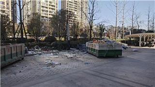 龙港市新城联合党委重拳整治辖区脏乱点，筑牢环境治理防线