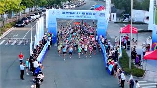 热力开跑！温州市第十八届运动会健身跑点燃龙港