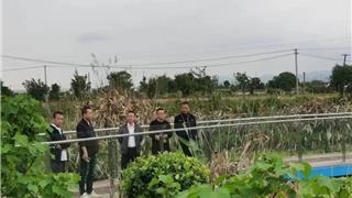 龙港市开展非农化非粮化整改工作专项排查