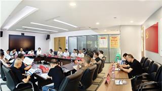 龙港新城：政企联动促发展 枝繁巢暖引凤来