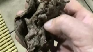 泳池内惊现粪便？温州龙港游泳馆：已报案