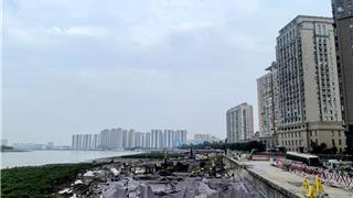 筑牢安全线，绘就新风景！龙港海塘安澜工程全速推进