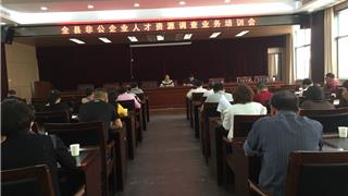 龙港镇召开非公企业人才资源调查业务培训会议