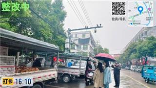 龙港街头一幕！别把马路当自己家了