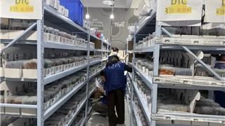 龙港1～2月规上工业增加值增速居温州第一