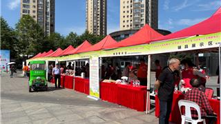 龙港公益市集今日开市！六大功能区为残障人士筑梦搭桥