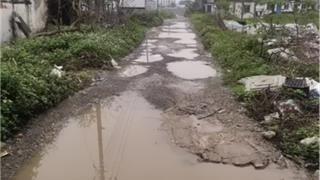 龙港旧貌换新颜，这条破路如今好走多了！