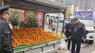 让“烟火气”既有序又有情！龙港以“绣花功夫”整治流动水果卡车