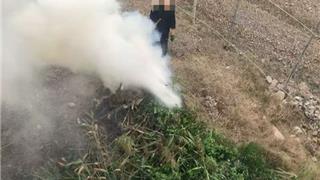 注意！龙港严查这类行为！