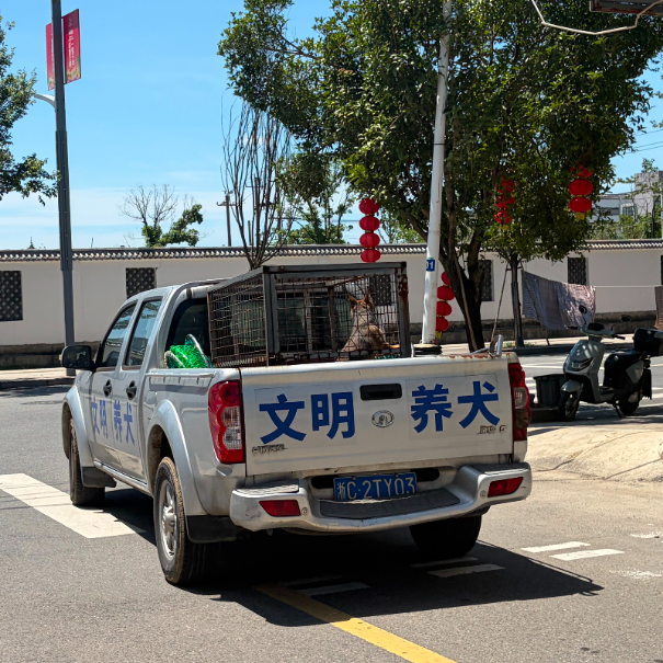 微信图片_2026-07-17_163705_104.png