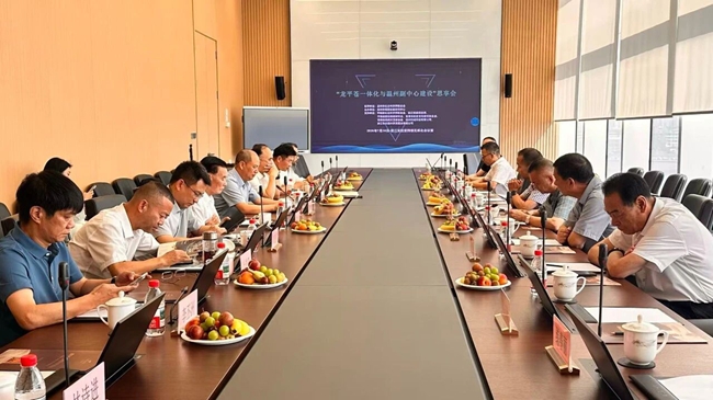 在“龙平苍一体化和温州副中心建设”思享会上部分发言观点汇编