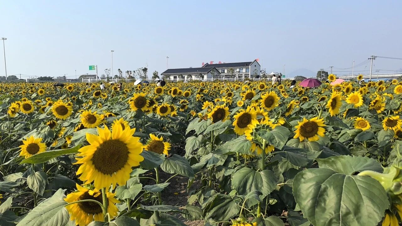 微信图片_2026-10-29_022204_273.jpg