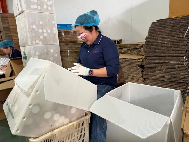 642.jpg