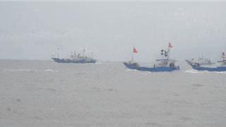 龙港220艘渔船出海逐“鲜”！再看瑞安、苍南、洞头“小开渔”大场面→