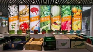 龙港40名新锐农创客赴台州五地“取经” 赋能乡村产业发展