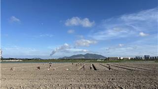 88000平方米！龙港新城全力打造生态门户新景观