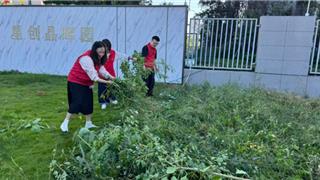 新城党委：整治小区环境 擦亮宜居底色